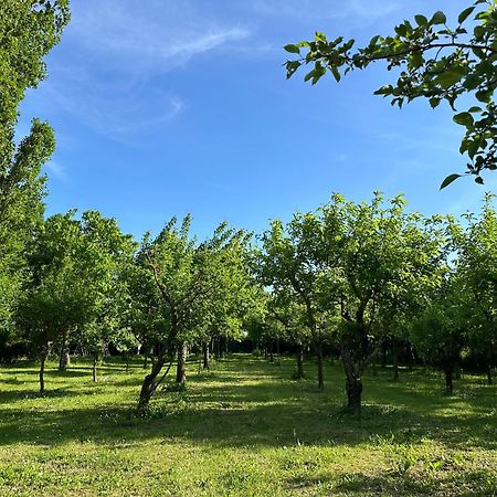 Villa Dunya Montepulciano Stazione Luaran gambar