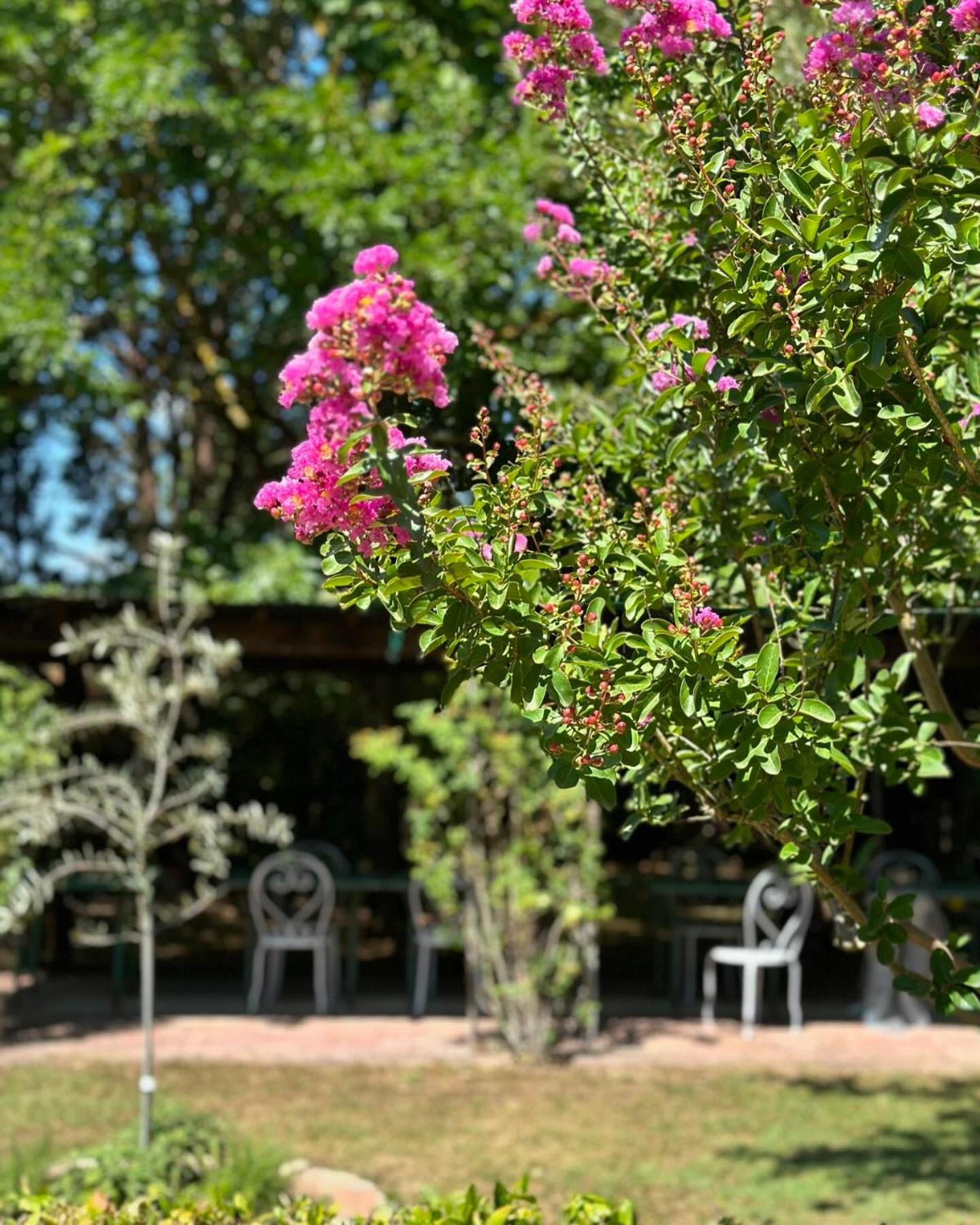 Villa Dunya Montepulciano Stazione Luaran gambar